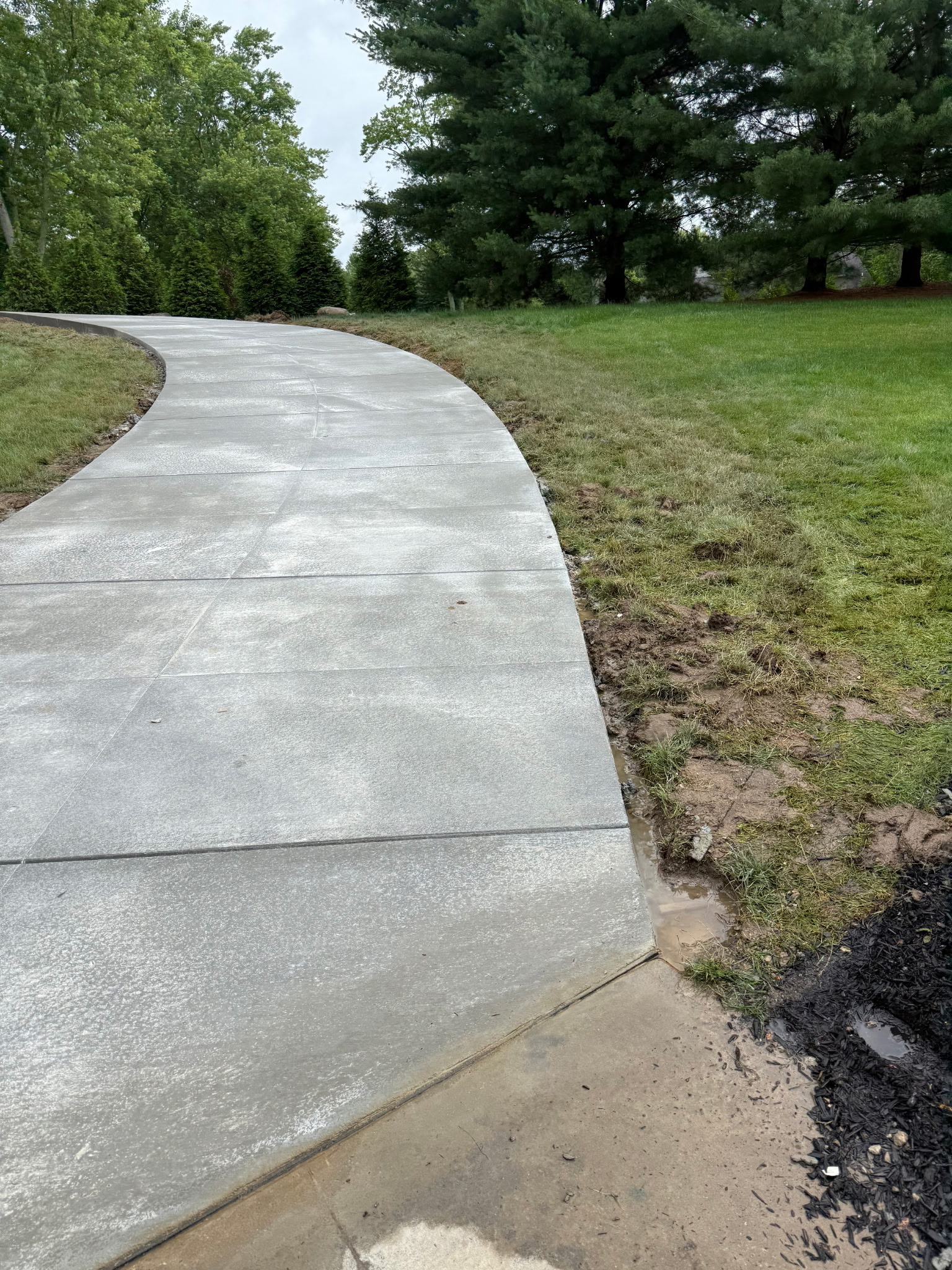 Decorative Concrete Project